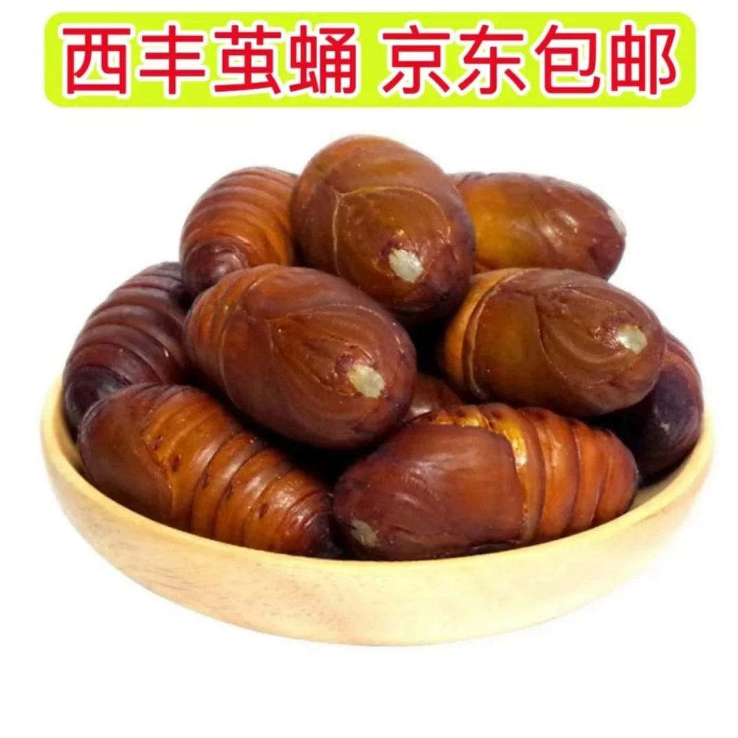 辽宁省西丰县2023年柞树大红茧蛹新鲜黄茧蛹一斤起包邮