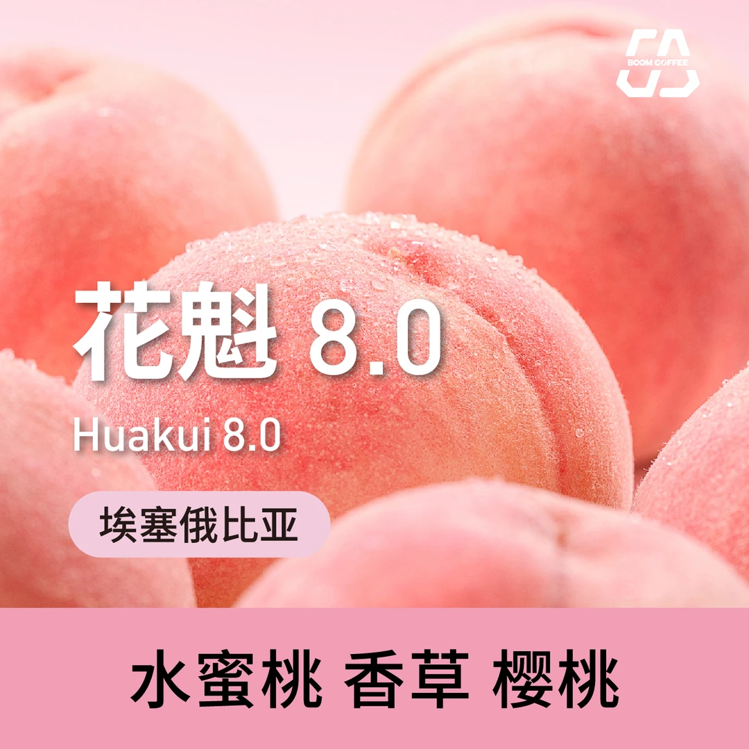 BOOM花魁8.0-浅度烘焙-茉莉花柑橘香草咖啡豆精品100g精选装