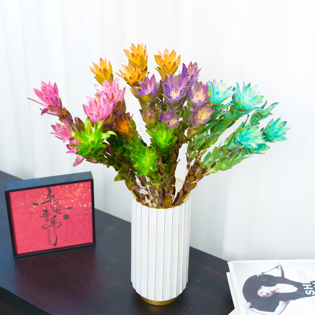 【思芹花卉|南非七彩木百合】高端小众花材，可做干花，顺丰空运包邮