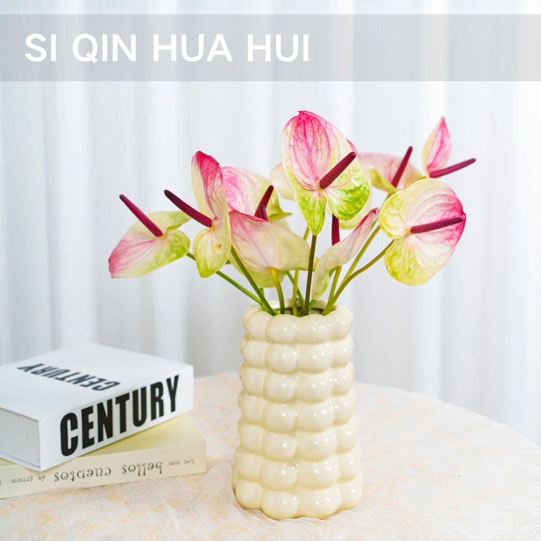 【思芹花卉丨塞菲拉-小花型彩掌】点缀生活的鲜花云南鲜花顺丰空运