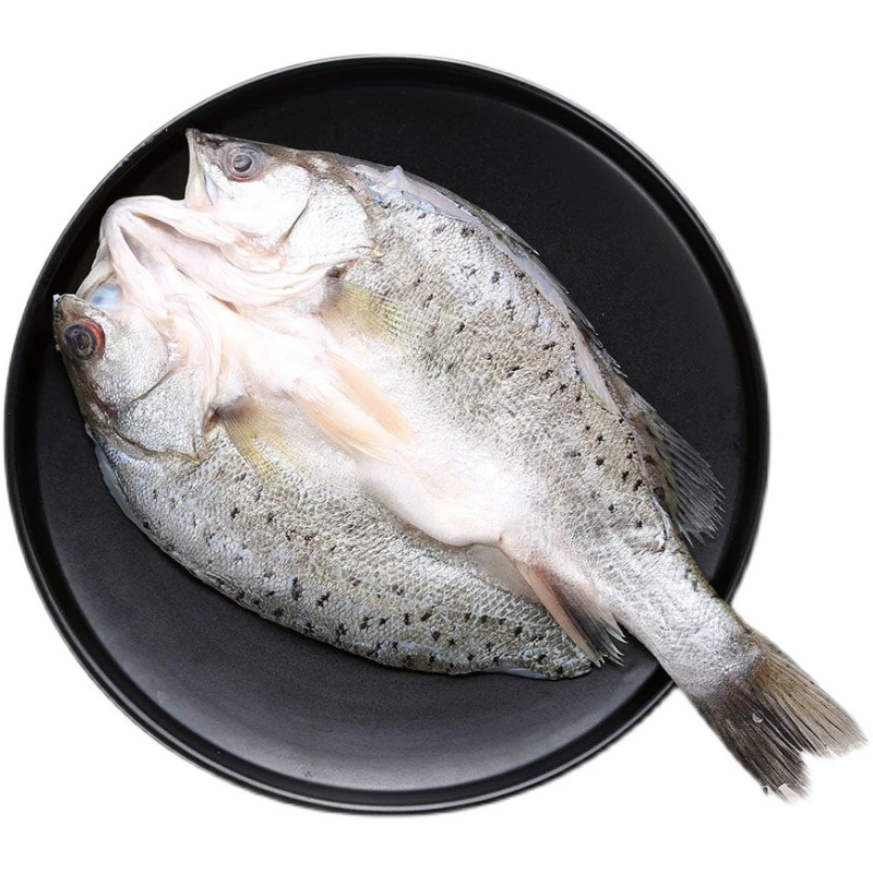 鲜活鲈鱼约1.2斤/条（默认杀好）鲈