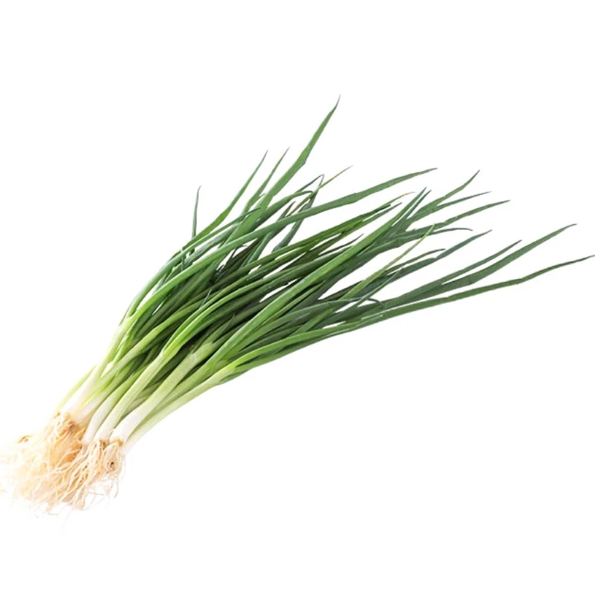 新鲜香葱100g（氧化易黄）