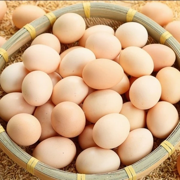 土鸡蛋一斤