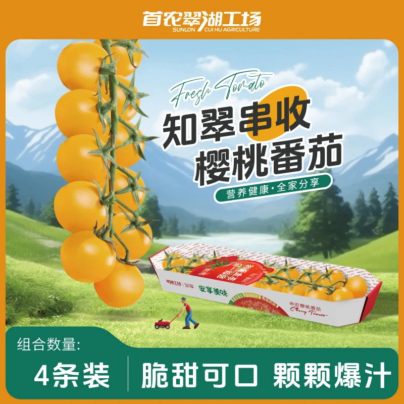 【知翠】首农翠湖工场黄色串收樱桃番茄(4条)高品质自然成熟新鲜