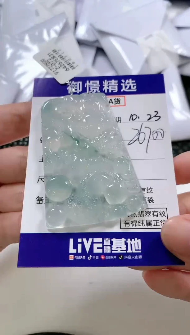 【闪购商品】翡翠颈饰未镶嵌100