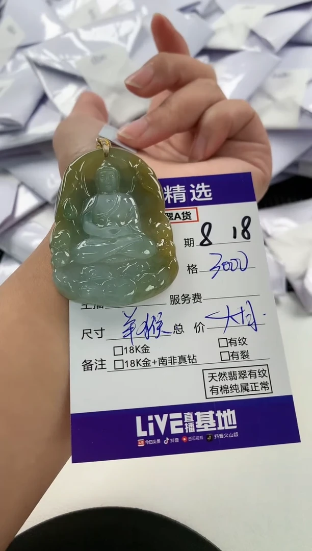 【闪购商品】翡翠颈饰未镶嵌63