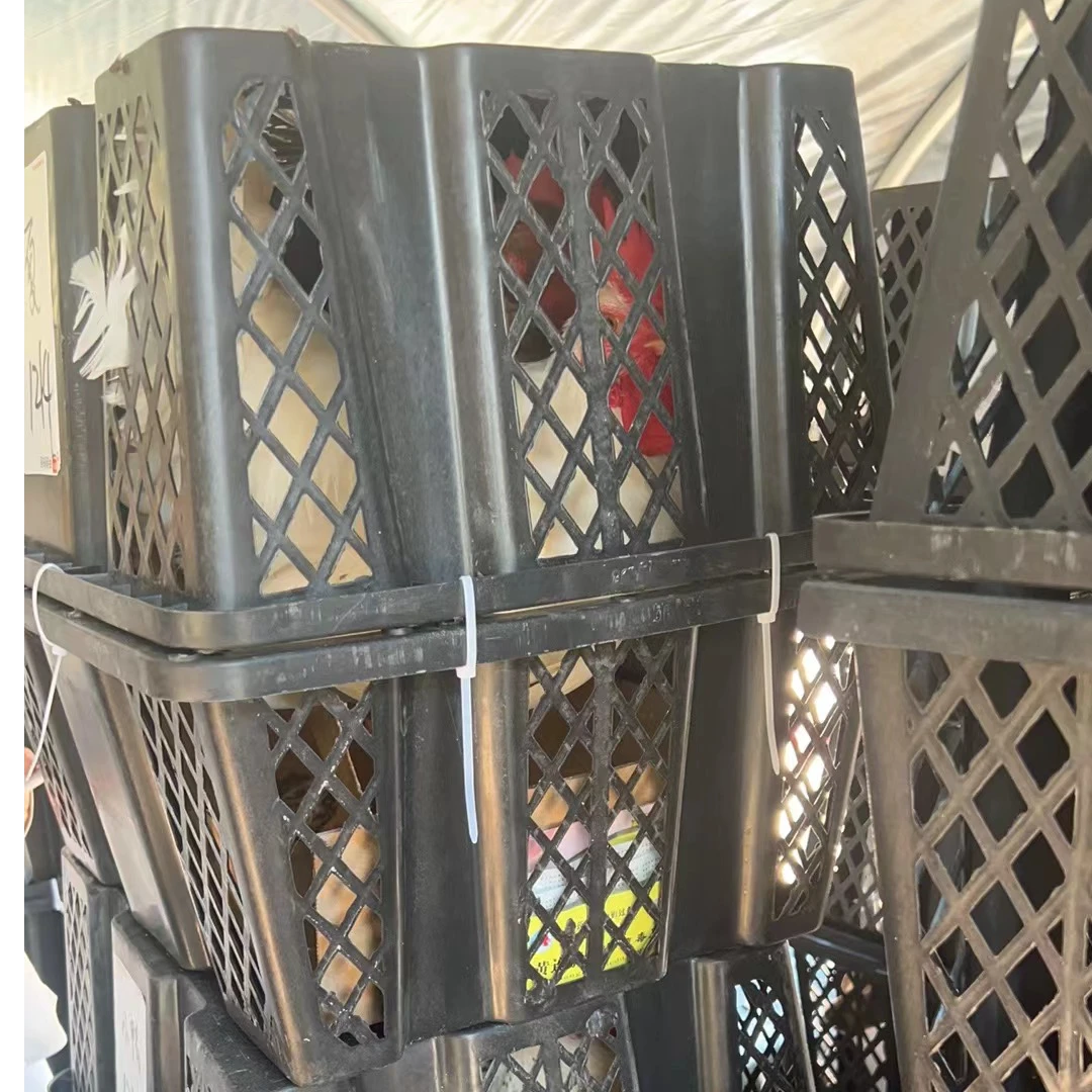 苏禽 小细脚爆炒小公鸡 黄油母鸡