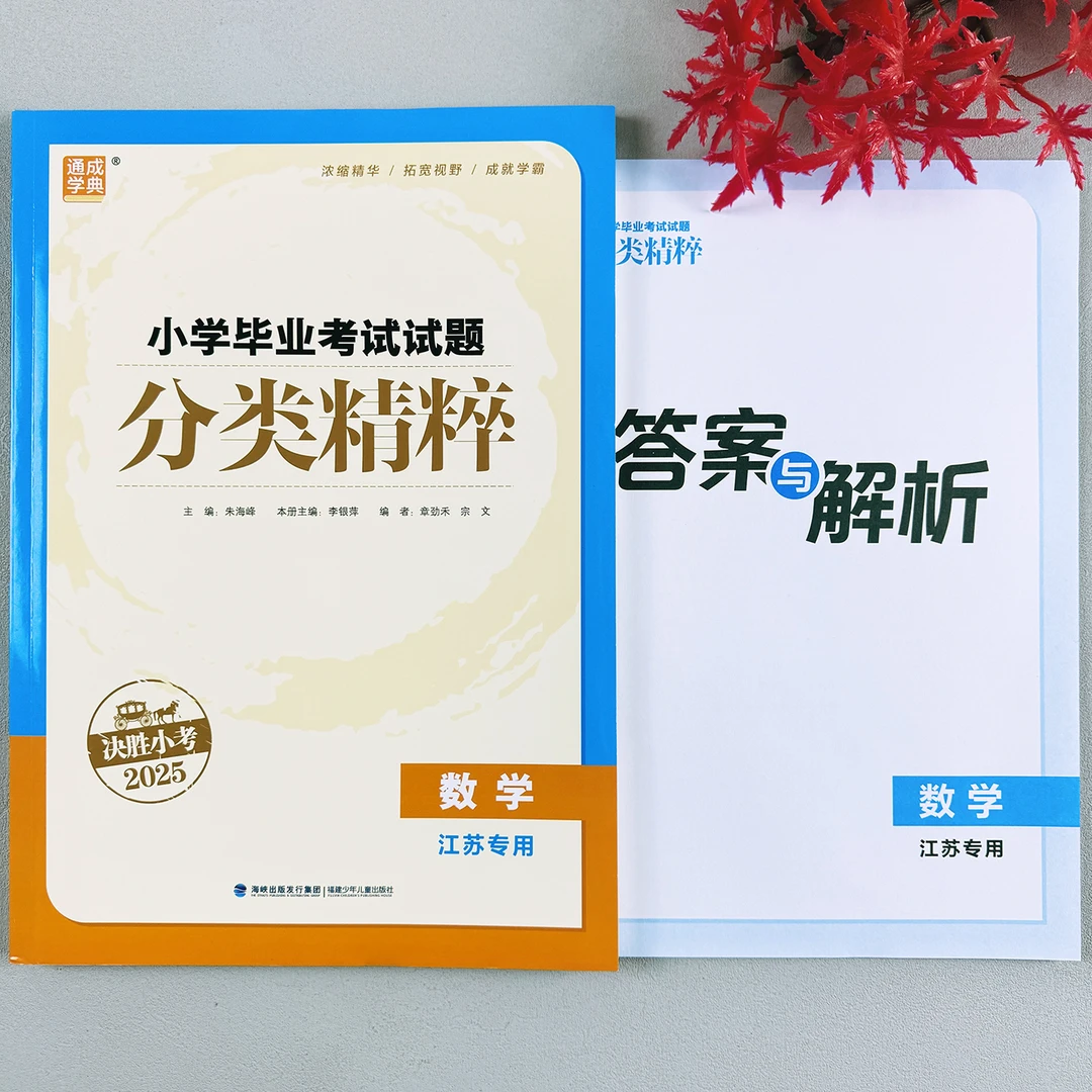 小升初数学考试试题分类精粹六年级刷题复习考试小必考数学练习题