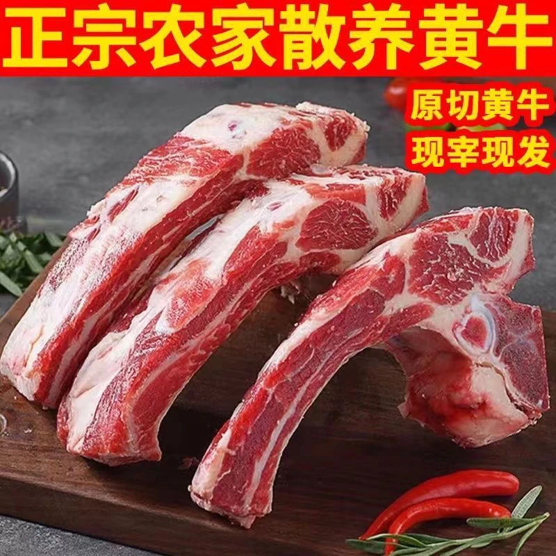 新鲜多肉牛排骨牛肋排10斤商用冷冻正宗散养黄牛排牛肋骨牛骨5斤