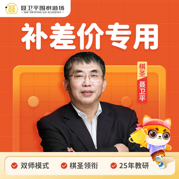 【26周年无随材寄送补差价专用】聂道围棋