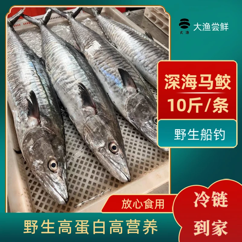 10斤正宗康氏马鲛鱼海鲜湛江新鲜速冻渔民深海捕捞肉质鲜嫩冷链