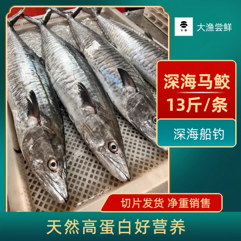13斤正宗康氏马鲛鱼直播卖货海鲜速冻渔民深海捕捞肉质鲜嫩新鲜
