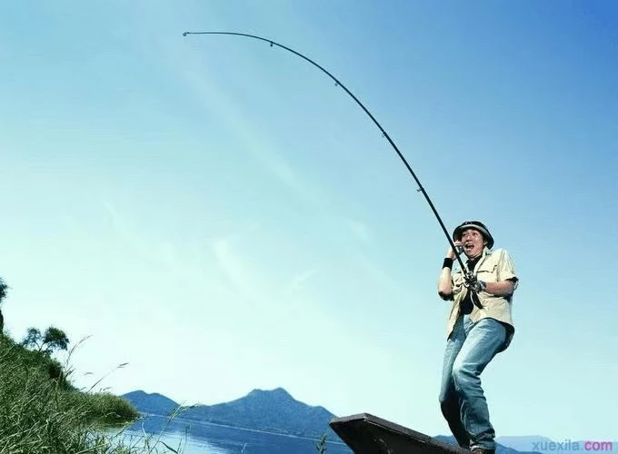 高碳断码短号鱼竿