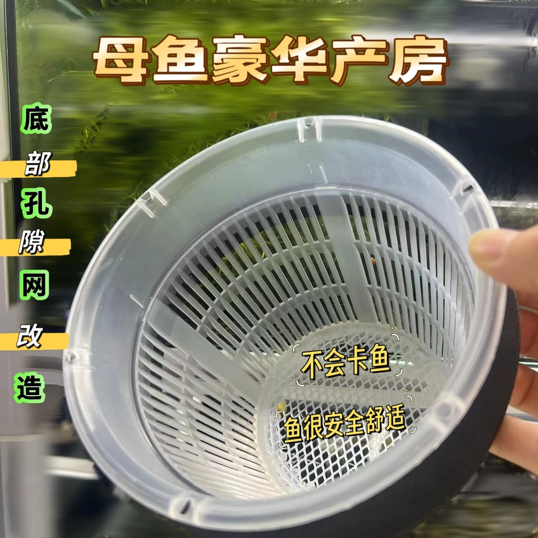 吸盘漂浮两用款隔离盒孔雀鱼圆形隔离盒DIY底部3毫米网隔离成鱼用
