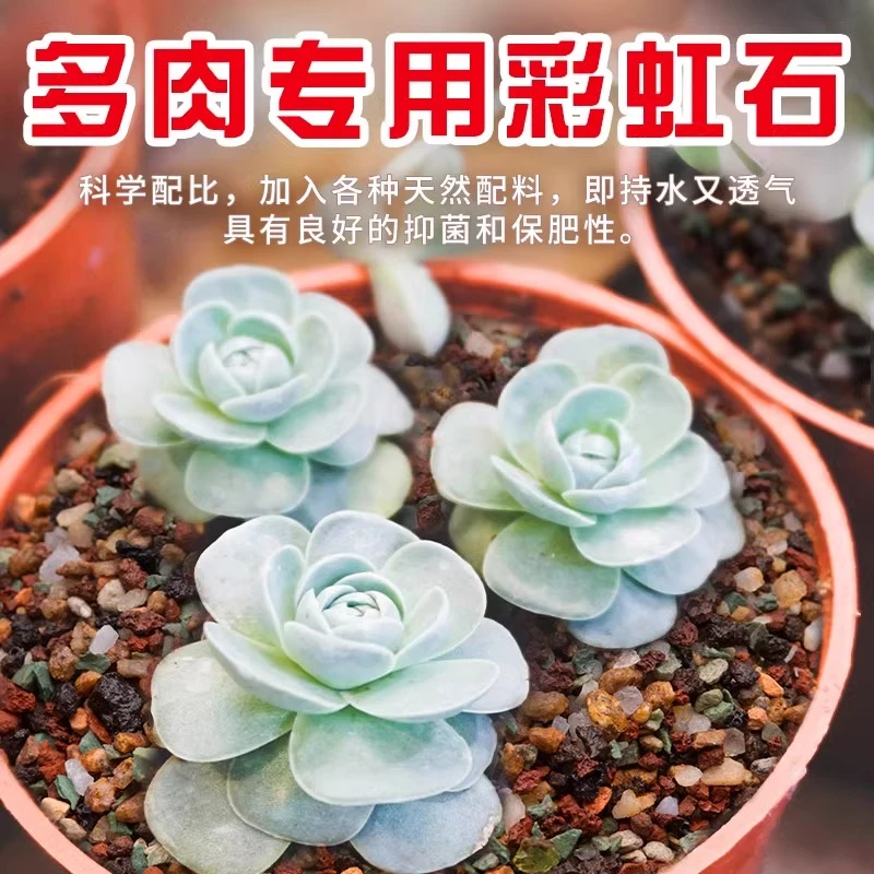 彩虹石纯颗粒土绿沸石红火山石麦饭石虹彩石多肉土多肉专用铺面石
