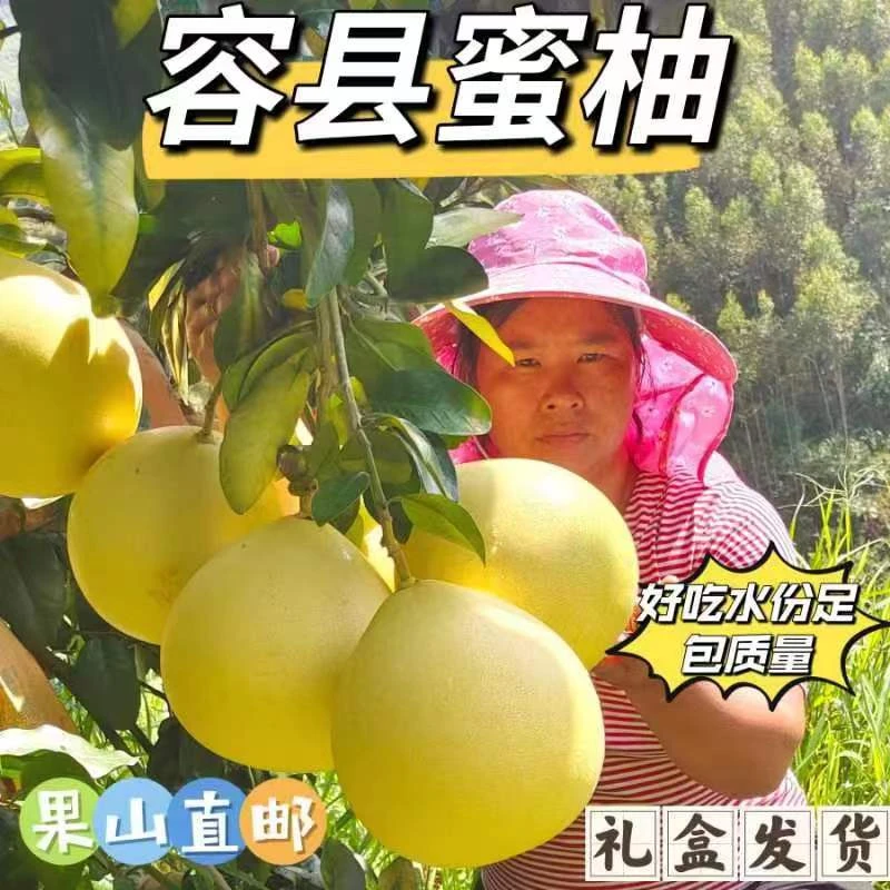 精选广西容县蜜柚红白混装甜酸四个/六个总重约11斤/17斤两广包邮