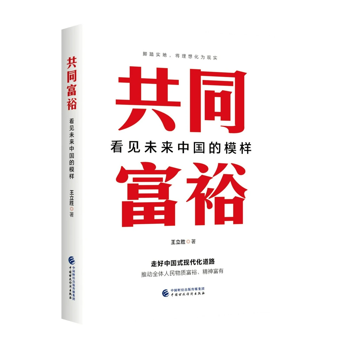 共同富裕:看见未来中国的模样正确理解共同富裕、推进共同富裕