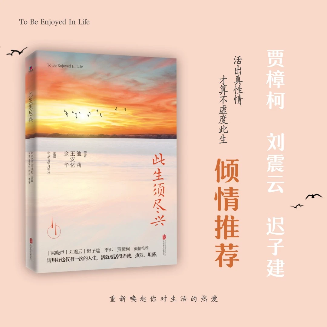 此生须尽兴,贾樟柯、刘震云倾情推荐!重新唤起对生活的热爱文学