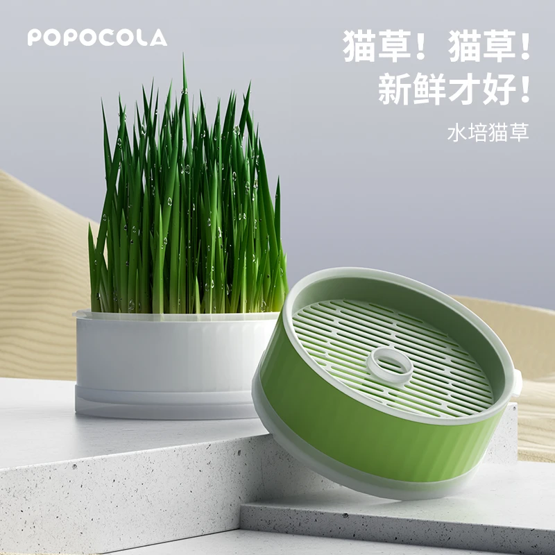 猫草无土水培盒子干净杯小麦种子自种植盆栽化毛天然猫咪零食薄荷