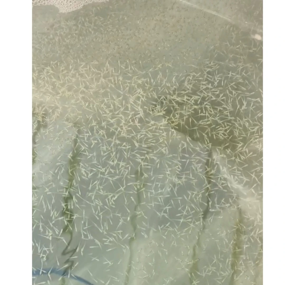 锦鲤水花，好血统，品种齐全