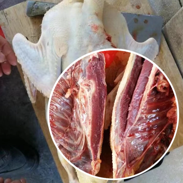 正宗农村散养番鸭老番鸭新鲜宰杀净膛带内脏新鲜番鸭冷鲜冷冻发货