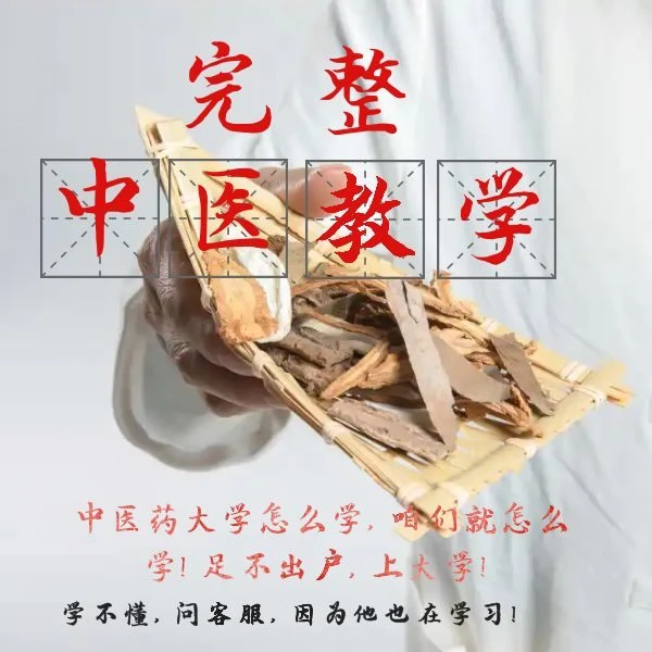 中医学院完整教授课程，自学中医零基础入门到精通