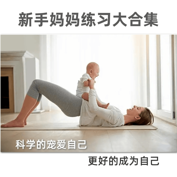 【海螺姑娘】女性运动灰复课程合集/零基础/瑜伽练习/视频教学