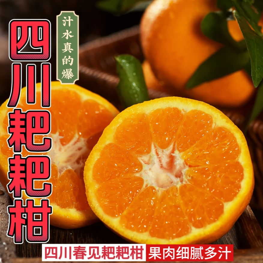 【南方地区专拍】四川春见耙耙柑新鲜爆汁爽口细腻
