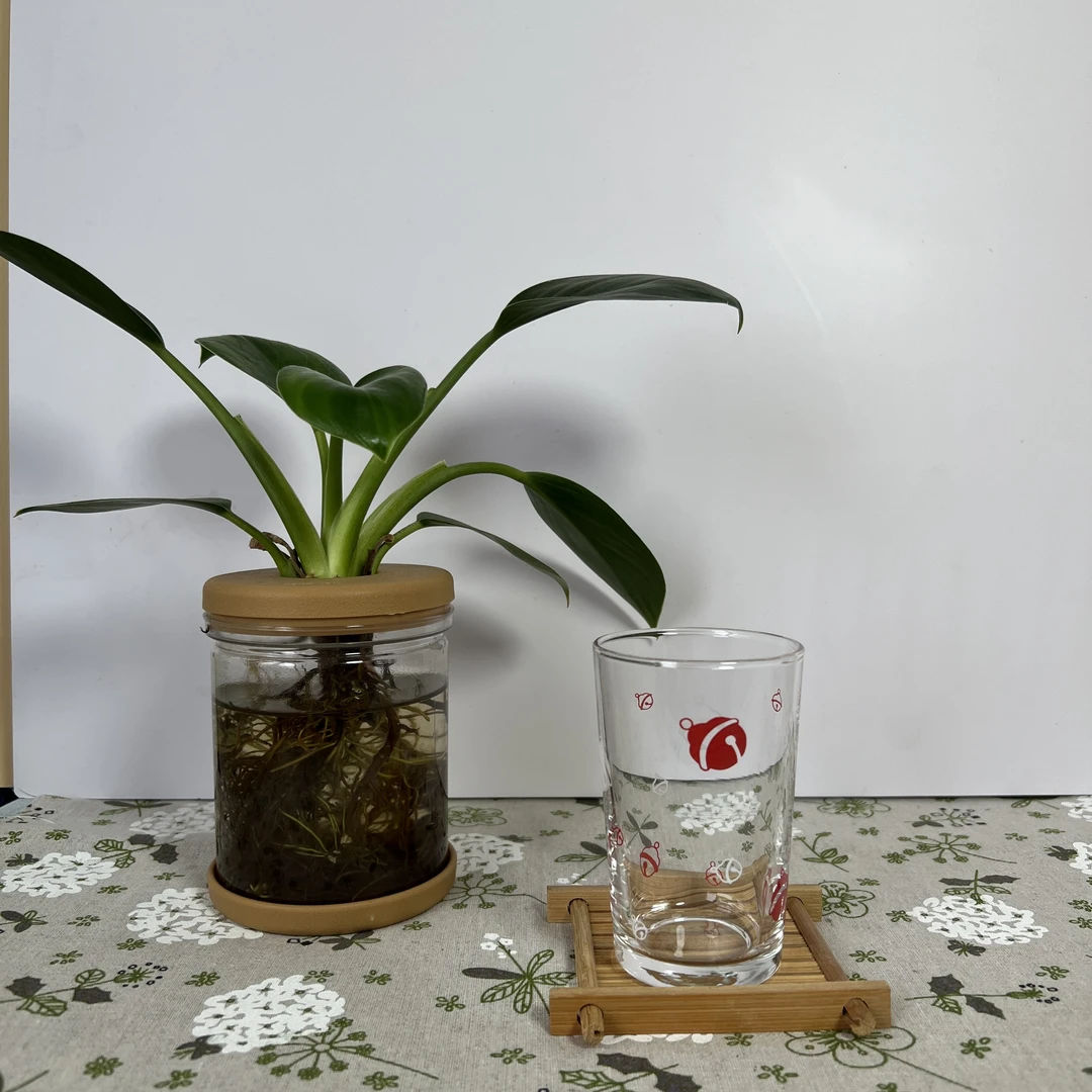 豪雅小号印花啤酒杯 扎啤杯 无铅玻璃饮料 冷热茶杯 奶杯 果汁杯