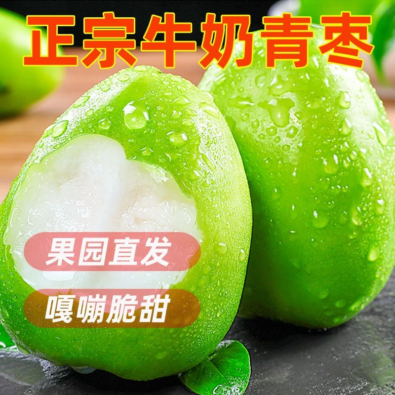 云南新鲜牛奶青枣脆甜爆汁当季甜脆枣子蜜枣大枣现摘现发皮薄爽口