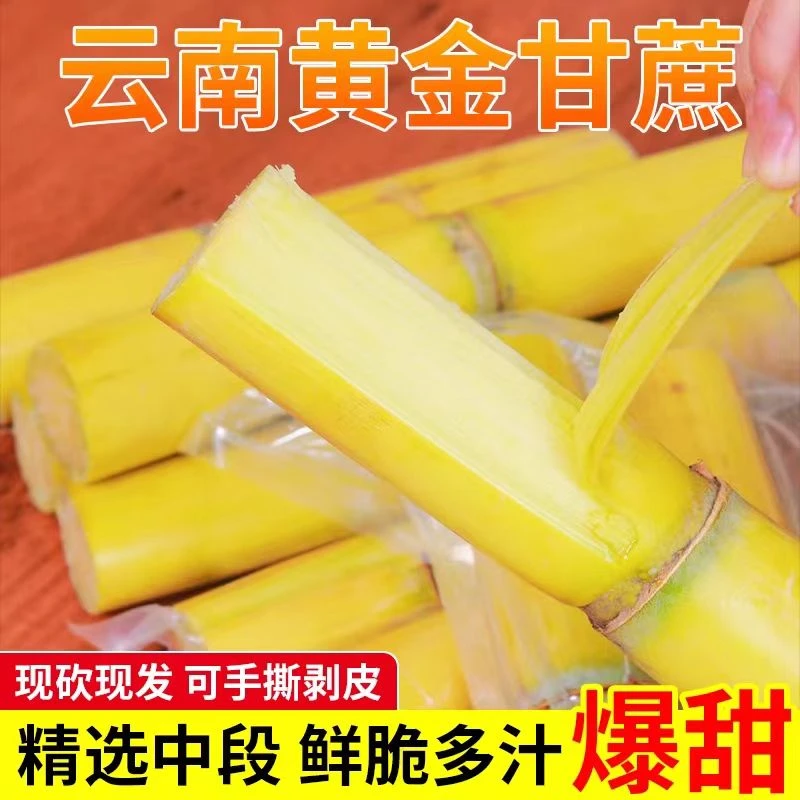 云南正宗黄金甘蔗现砍黄皮新鲜当季水果脆甜