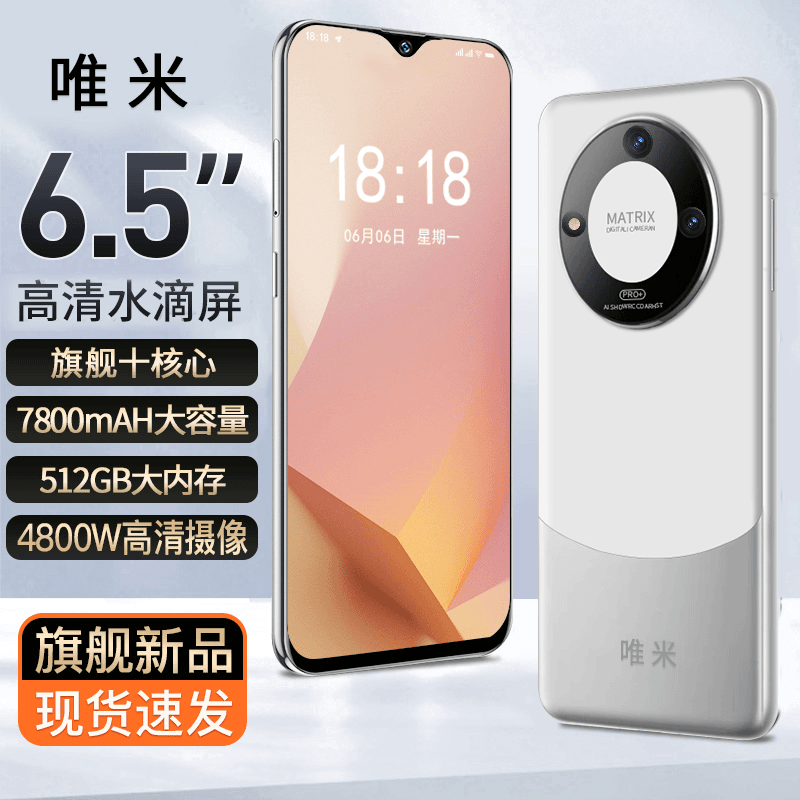 【官方正品】新款512G高端商务奢华人脸双卡双待全网通智能手机