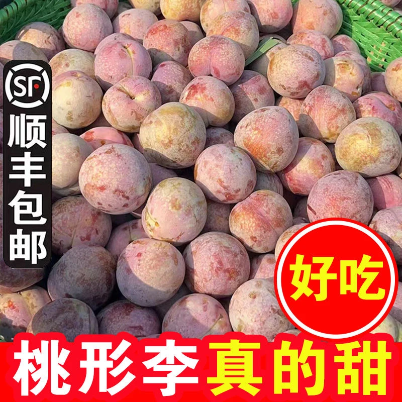 《中大果单果30-40g》嵊州桃形李脆甜新鲜水果现摘李子大果礼盒顺丰