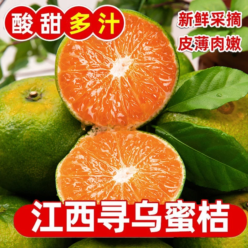 【顺丰上门】江西赣南寻乌蜜橘现摘无籽青皮蜜橘新鲜应季水果3/5斤