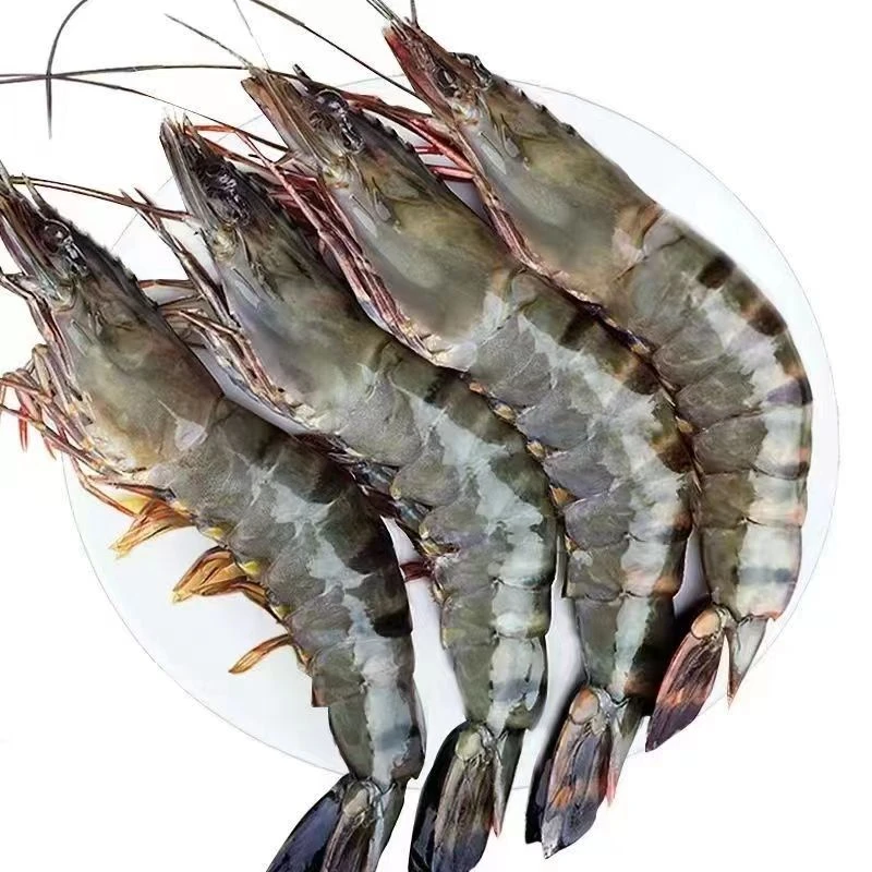 湛江黑虎虾海捕大虾斑节虾竹节虾8-10条/斤鲜活速冻营养顺丰包邮
