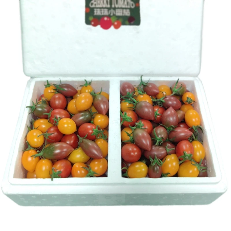 福建碱土地小番茄  珠珠+紫葡萄+火山  净重3斤家庭装