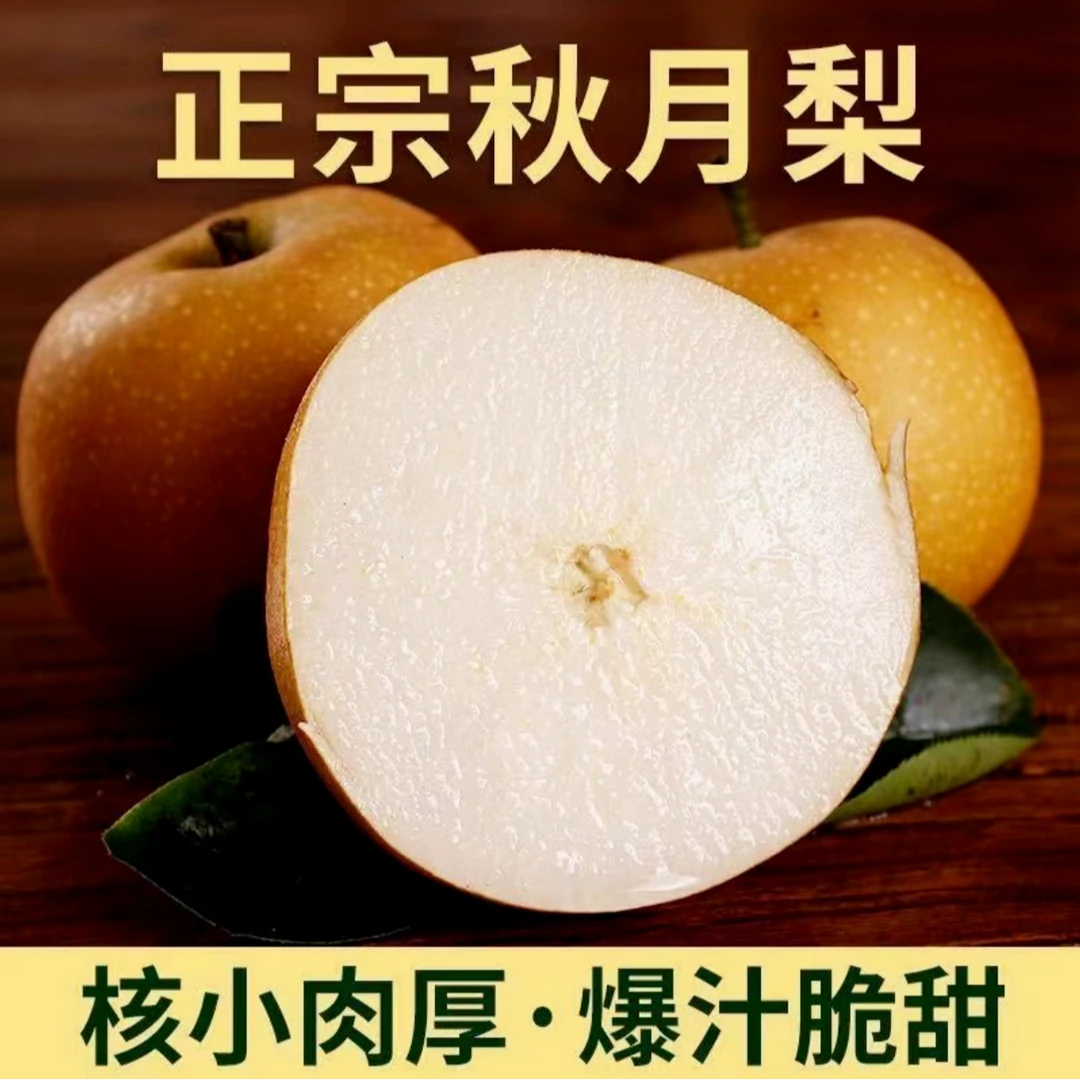 正宗山东秋月梨 皮薄多汁 新鲜香甜 净重4.7斤 彩箱/礼盒装
