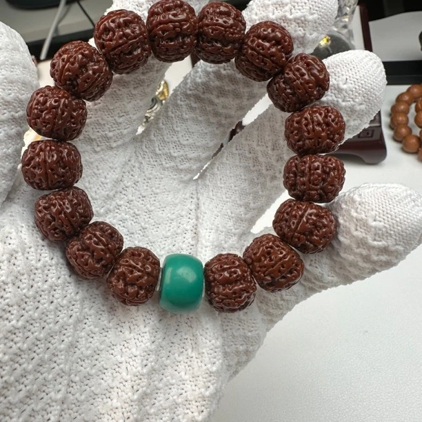 六瓣金刚菩提15➕小金刚里的大金刚