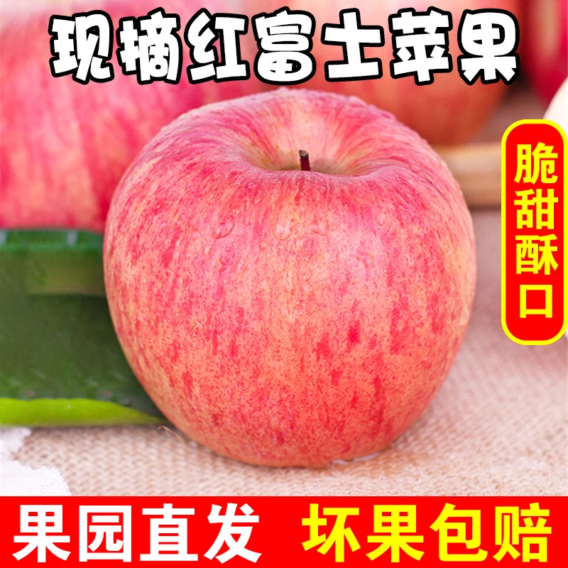 【产地直发 】山西脆甜红富士苹果4.5斤-9斤装当季新鲜苹果