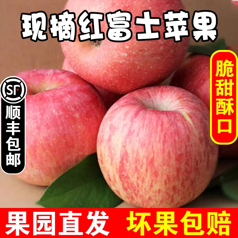小娜农场【果园直发 】山西脆甜红富士苹果4.5斤9斤装当季新鲜苹果