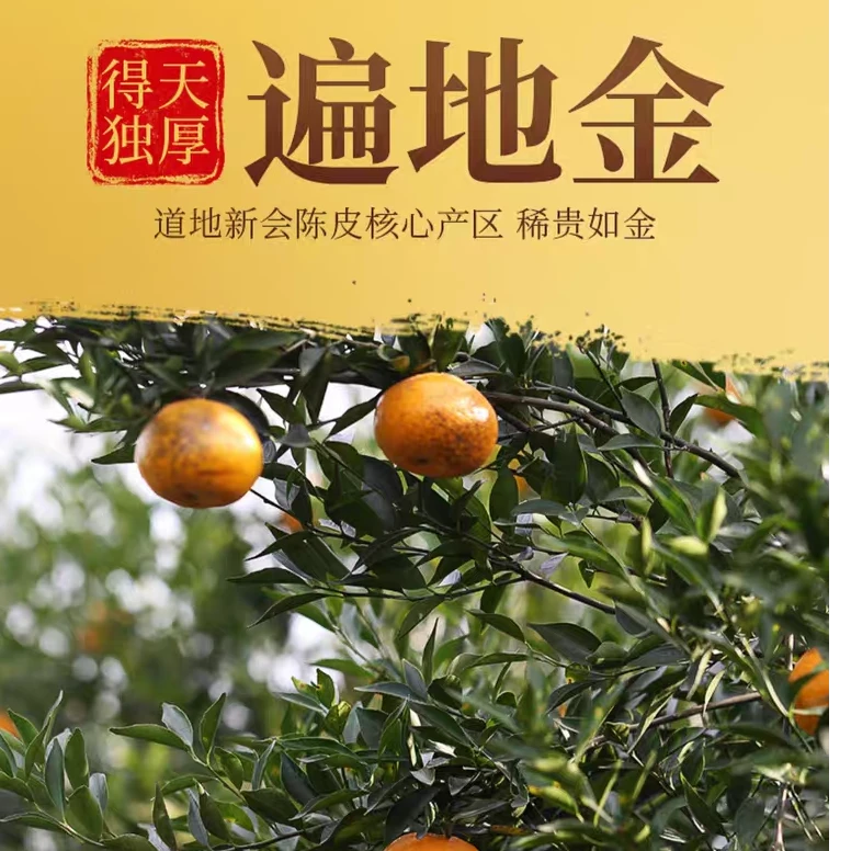 香茶婆婆-2024 -老茶新会陈皮黄金甲 礼盒装