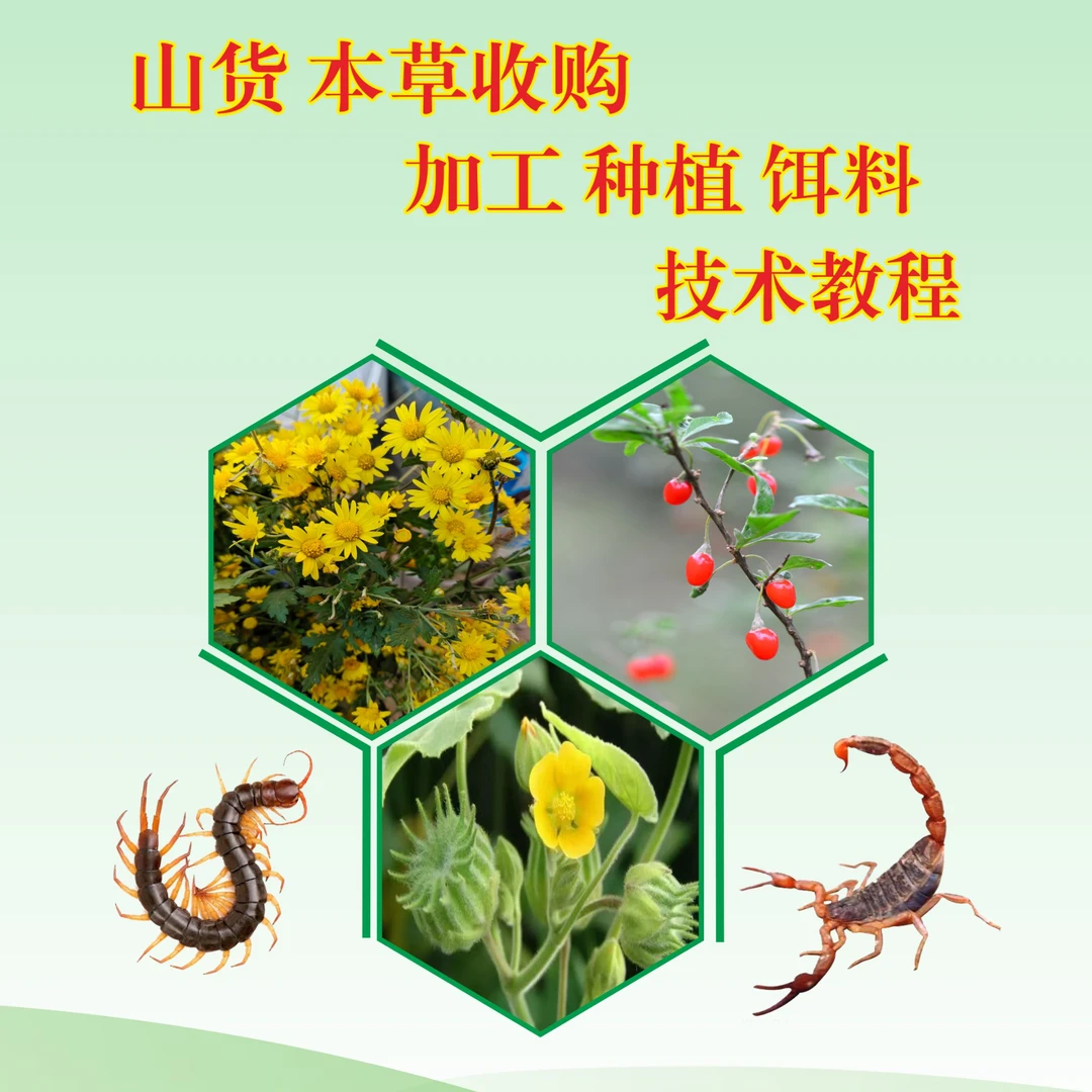 【殊胜宋总专属】收购加工种植饵料诱捕配方