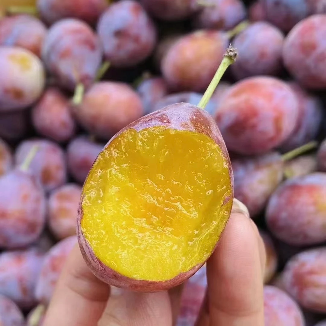 【东胜同城配送】智利A级西梅约500g