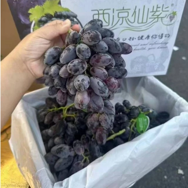 【东胜同城送】西凉仙紫（无核纯甜葡萄）