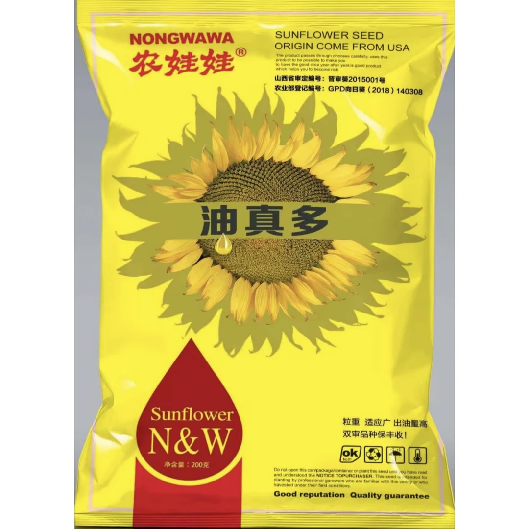 油真多高油高产抗病性强高杆油葵