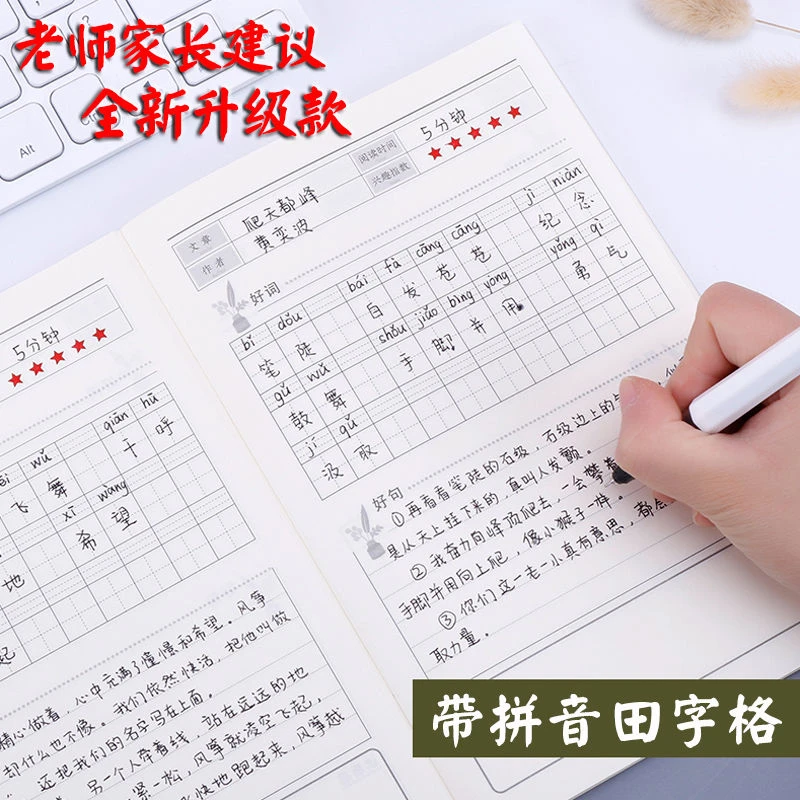 小学生专用本摘抄日积月累阅读记录本摘记读书笔记好词好句采蜜集