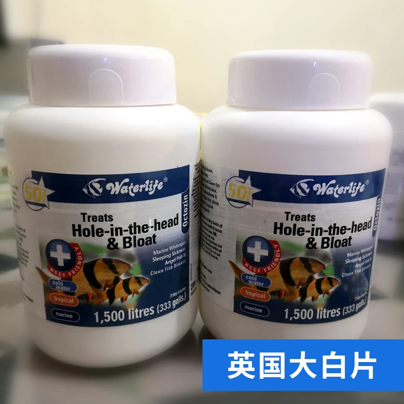 Waterlife 内寄外寄大白片益生菌肠胃调理饲料鱼食
