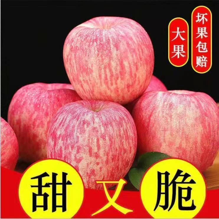 正宗烟台红富士苹果新鲜水果整箱栖霞萍果净重5斤80mm大果