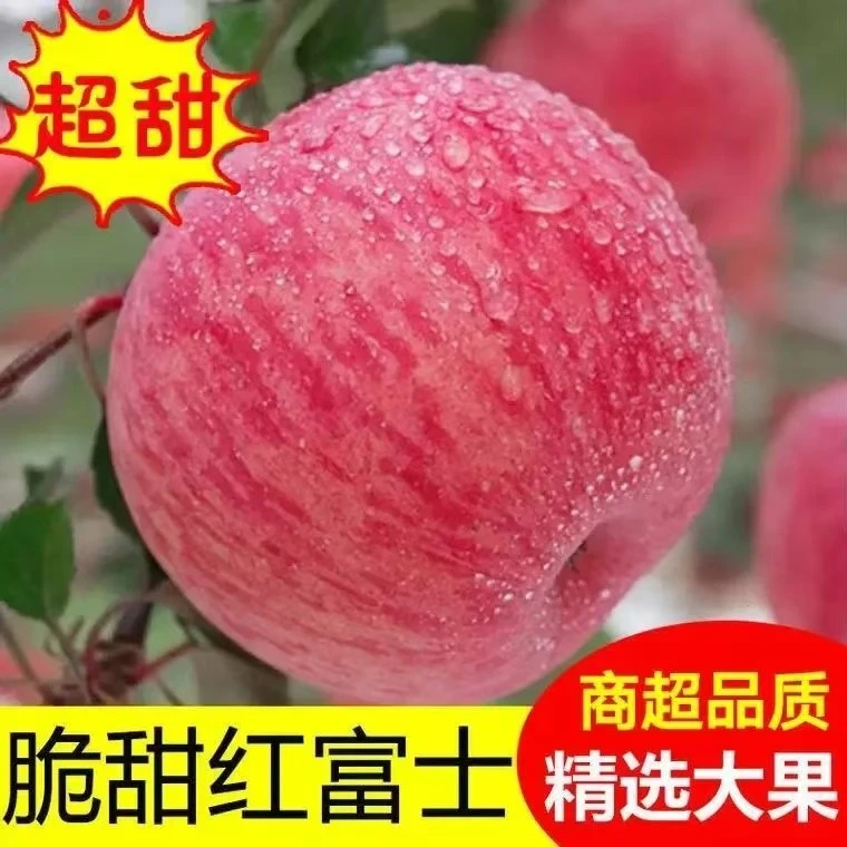 2024年正宗烟台栖霞头茬红富士苹果 脆甜多汁 现摘现发 批发4.5斤