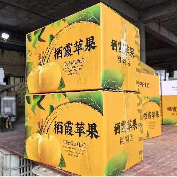 正宗烟台红富士苹果特大果脆甜多汁山东栖霞萍果新鲜应季现摘整箱
